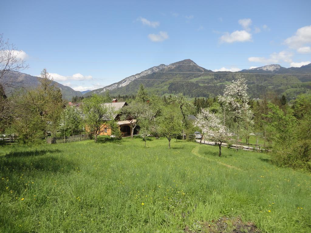 Chalet Ramsau 8 Bad Goisern Exterior photo